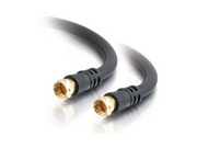 29131