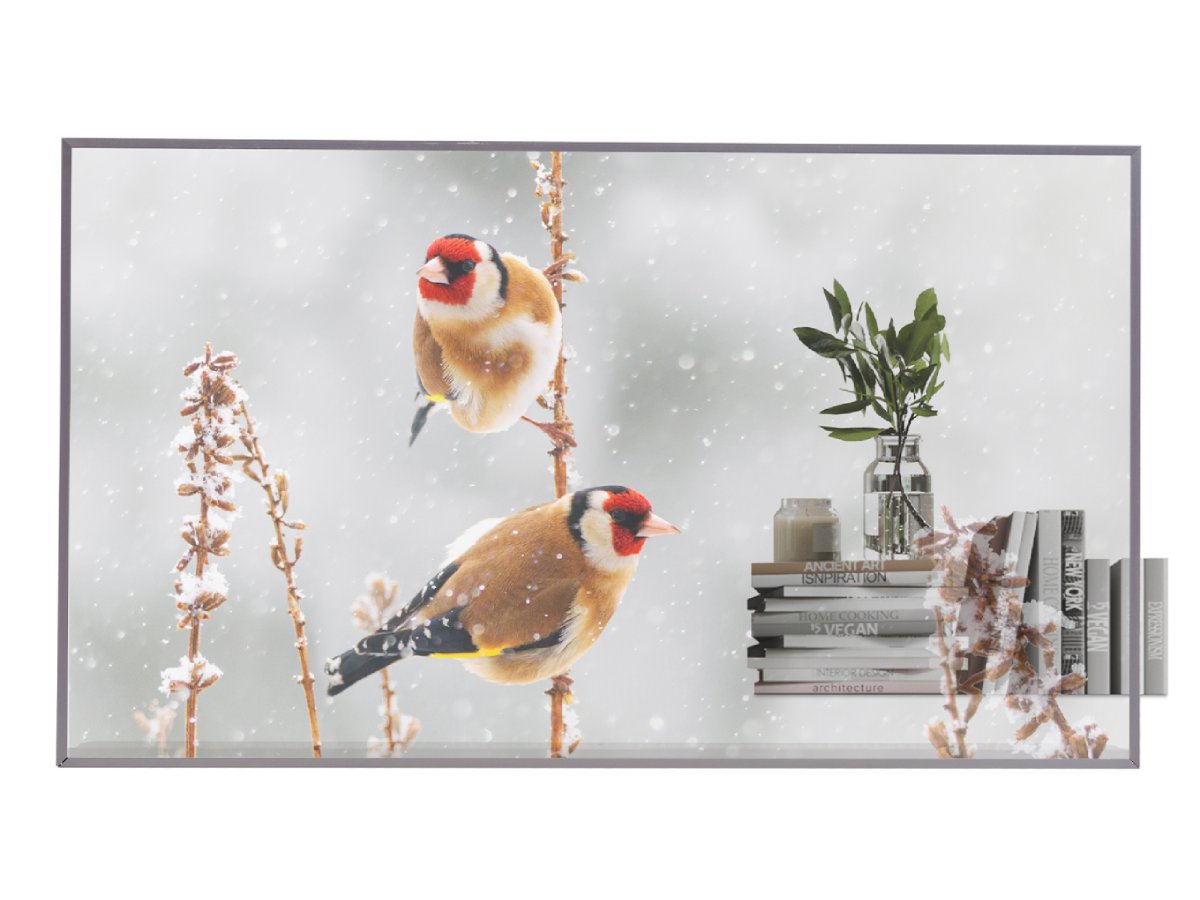 55EW5P-M
