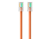 A3L791-06-ORG