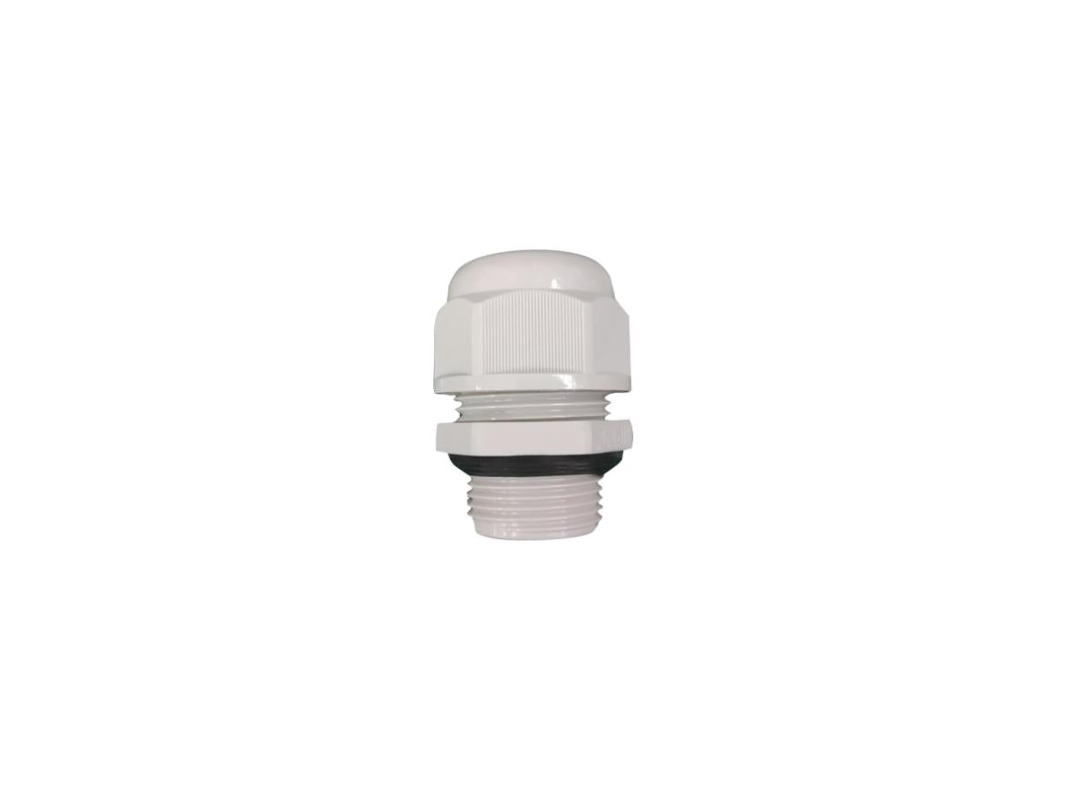 ACS-J100-20