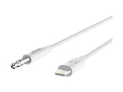 AV10172BT06-WHT