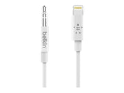 AV10172BT06-WHT