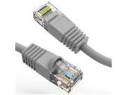AXG100008