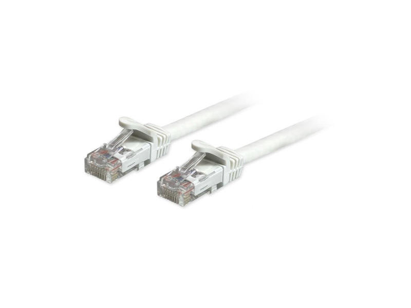 AXG49356
