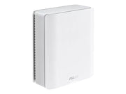 BT10(W-1-PK)