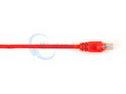 CAT5EPC-010-RD