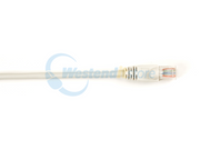 CAT5EPC-025-GY