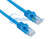 CAT6APC-003-BL