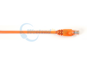 CAT6PC-002-OR