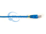 CAT6PC-003-BL