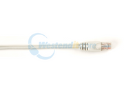 CAT6PC-003-GY
