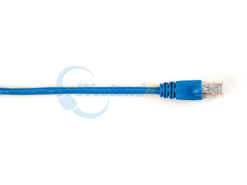 CAT6PC-005-BL-25PAK