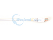 CAT6PC-006-WH