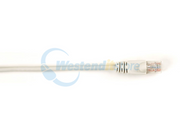 CAT6PC-015-GY