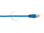 CAT6PC-020-BL