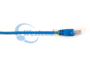 CAT6PC-025-BL