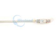 CAT6PC-025-GY