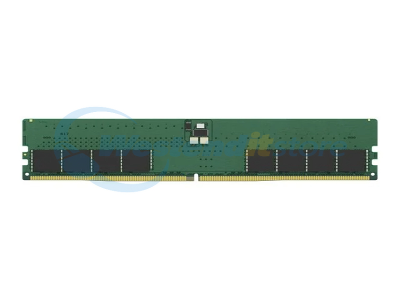 CBD56U46BD8MH-32