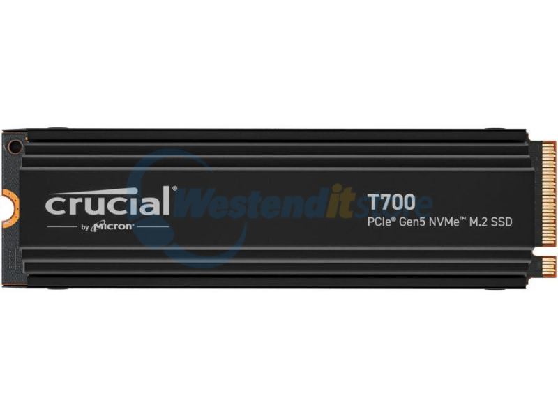 CT1000T700SSD5