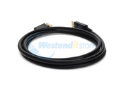 DISPLAYPORT10F