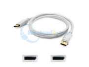 DISPLAYPORT1FW
