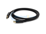 DISPLAYPORT1F