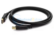 DISPLAYPORT2M