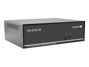 DPSMT-2S-P