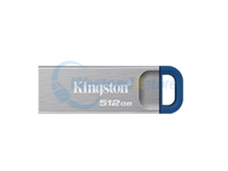 DTKNG2/512GB