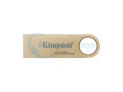DTSE9G3/256GB
