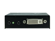 DVX-100