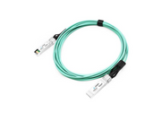 E25G-SFP28-AOC-0101-AX