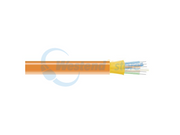FOBC55-INM1-OR-06F-1000