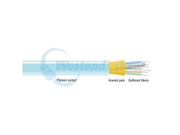 FOBC55INM4AQ24F-1000