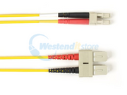 FOCMP10-SCLC-YL-10