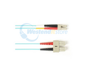 FOCMR10-003M-SCLC-AQ