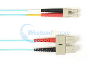 FOCMR10-SCLC-AQ-16