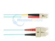 FOCMR10-SCLC-AQ-33