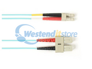 FOCMR10-SCLC-AQ-66
