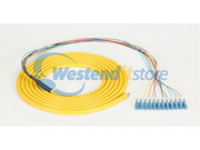 FOPT50S1-LC-12YL-3