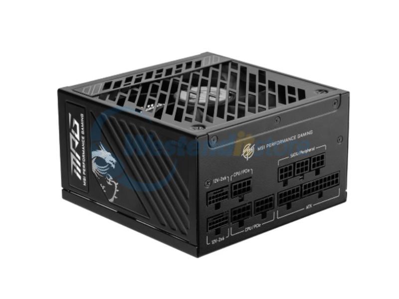 MPGA1000GSPCIE5