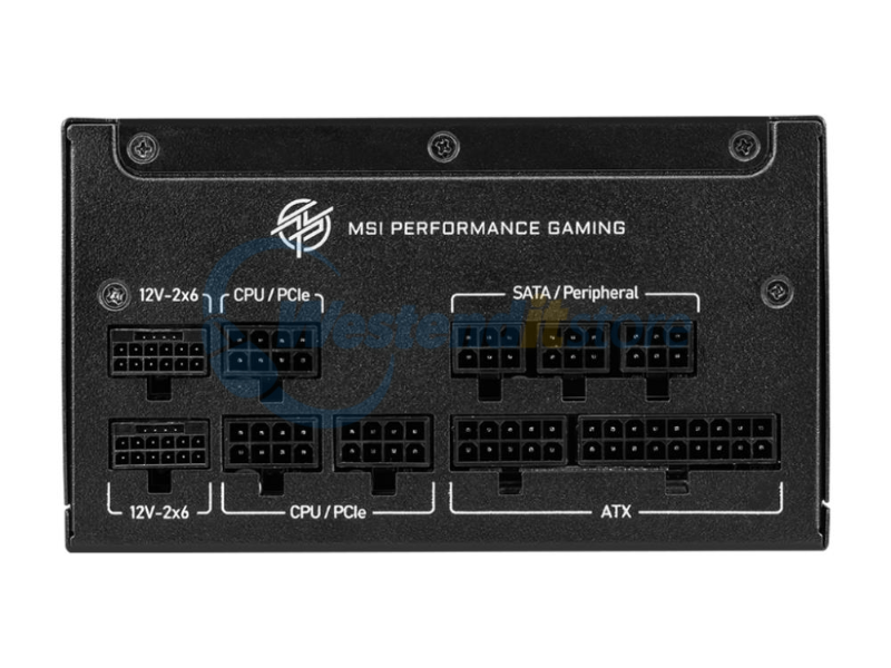 MPGA1250GSPCIE5