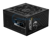MPGA1250GSPCIE5