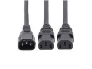 PXT100Y