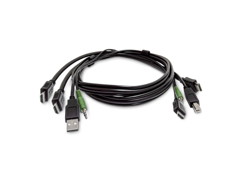 SK2HDMMKVM10-TAA
