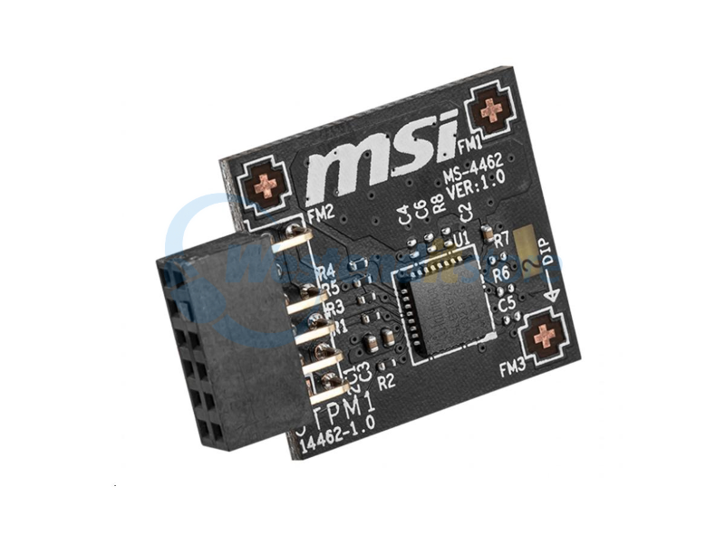 TPM2SPI