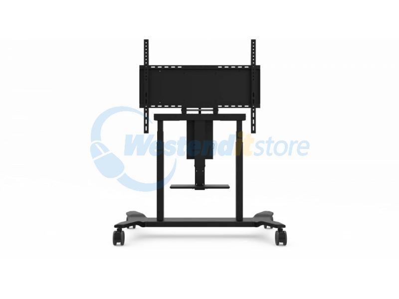 VB-STND-007